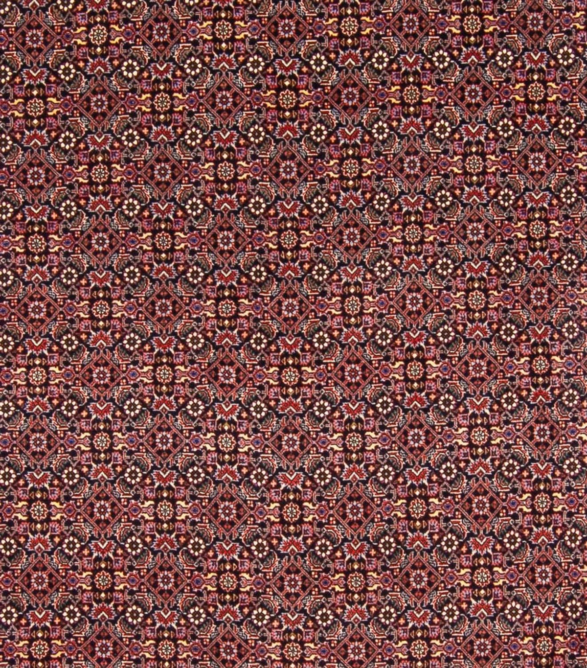 Tapis persan - Bidjar - 337 x 260 cm - bleu foncé