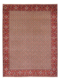 Tapis persan - Bidjar - 343 x 260 cm - crème