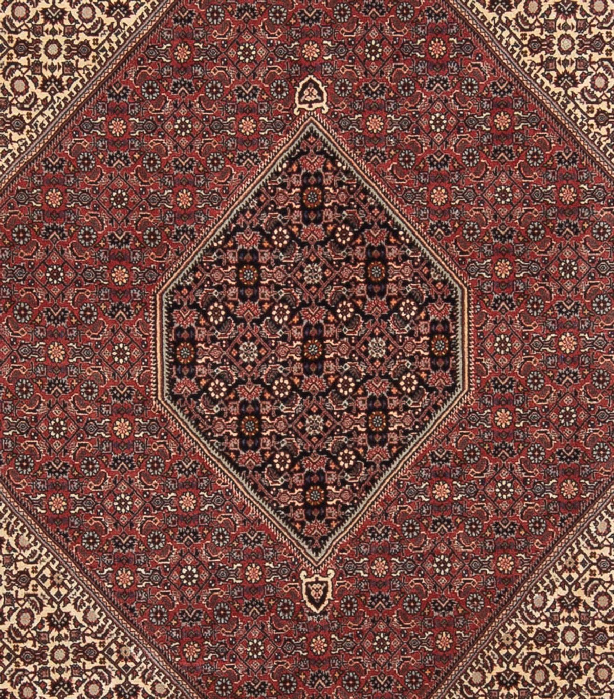 Tapis persan - Bidjar - 345 x 250 cm - rouge foncé