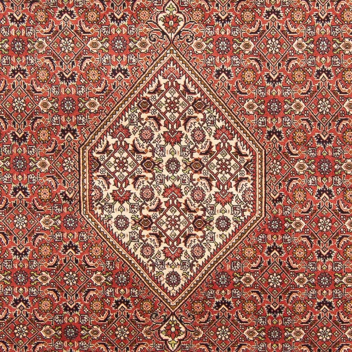 Tapis persan - Bidjar - 293 x 197 cm - rouge