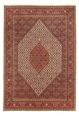 Tapis persan - Bidjar - 288 x 200 cm - rouge