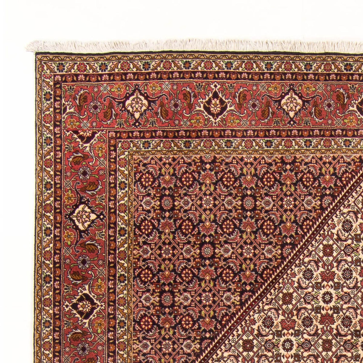Tapis persan - Bidjar - 288 x 200 cm - rouge