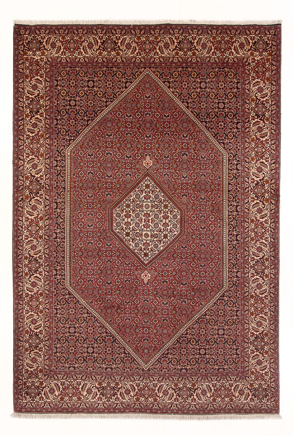 Tapis persan - Bidjar - 291 x 197 cm - rouge