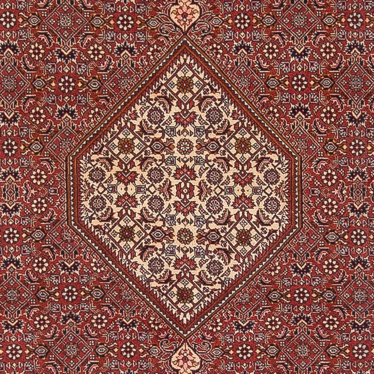 Tapis persan - Bidjar - 291 x 197 cm - rouge