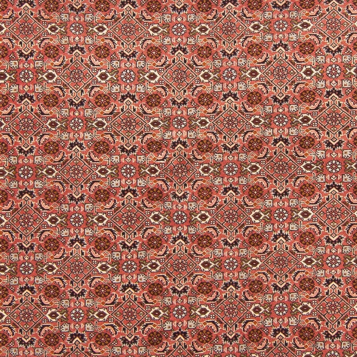 Tapis persan - Bidjar - 288 x 202 cm - rouge