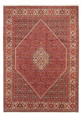 Tapis persan - Bidjar - 293 x 206 cm - rouge