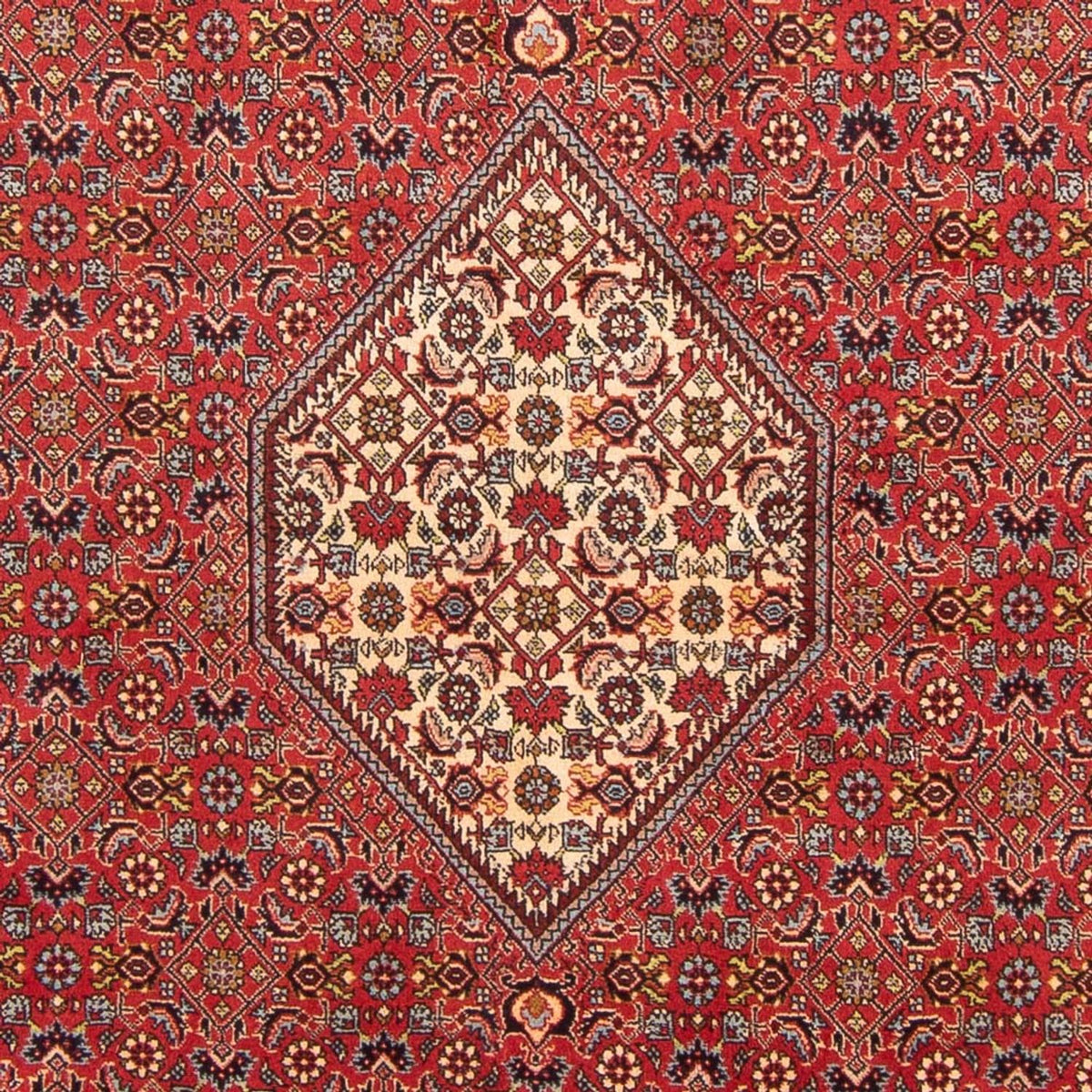 Tapis persan - Bidjar - 293 x 206 cm - rouge