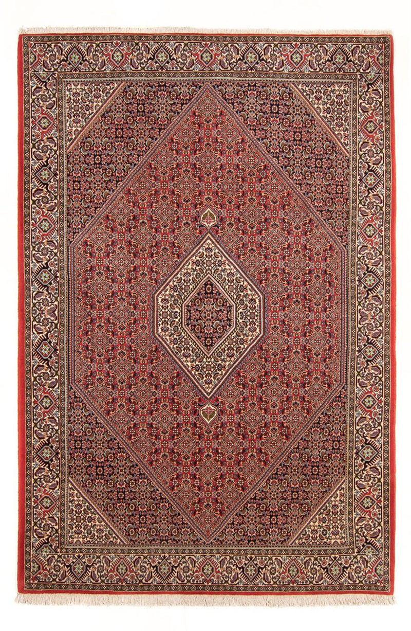Tapis persan - Bidjar - 294 x 200 cm - rouge