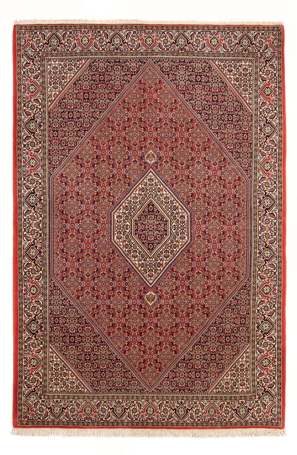 Tapis persan - Bidjar - 294 x 200 cm - rouge