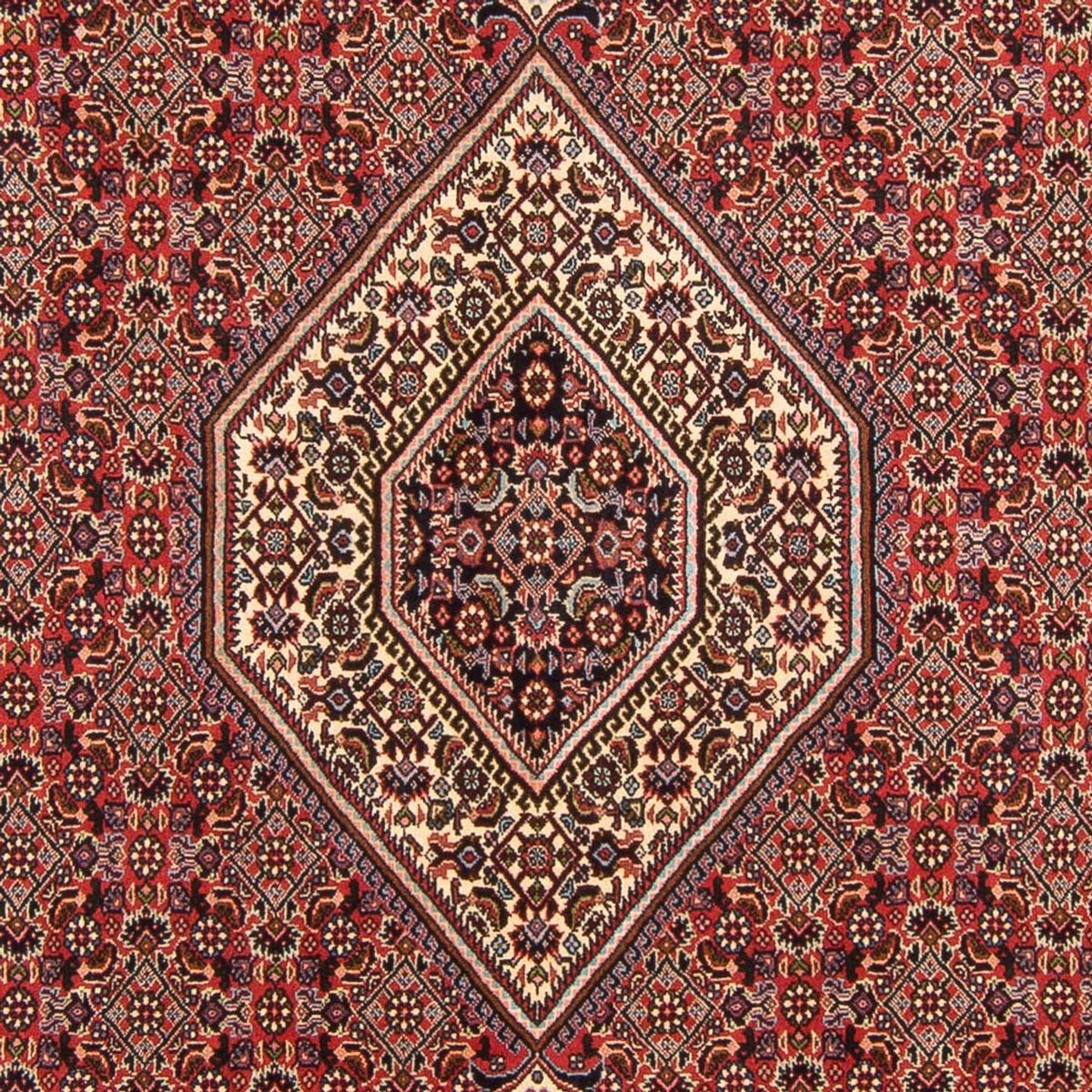 Tapis persan - Bidjar - 294 x 200 cm - rouge