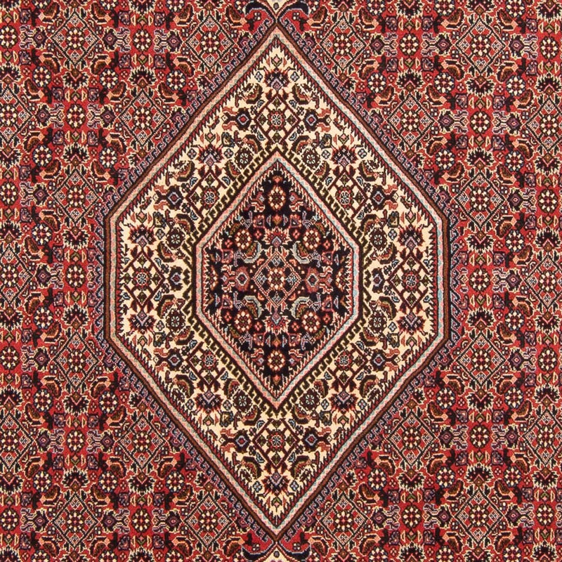 Tapis persan - Bidjar - 294 x 200 cm - rouge