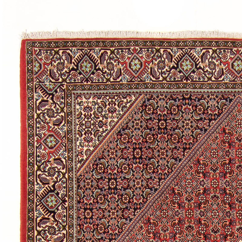 Tapis persan - Bidjar - 294 x 200 cm - rouge