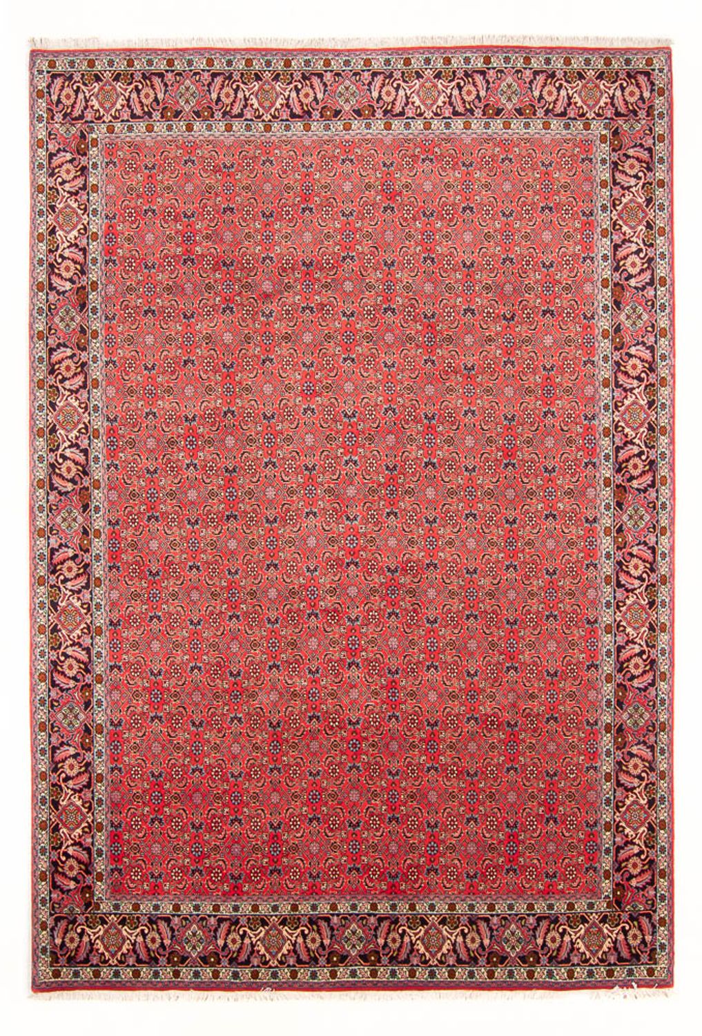 Tapis persan - Bidjar - 294 x 200 cm - rouge