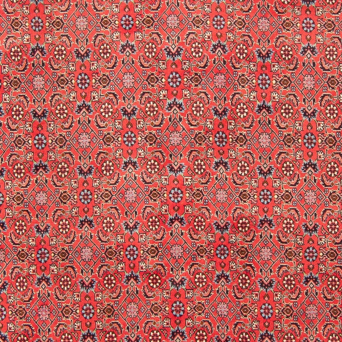 Tapis persan - Bidjar - 294 x 200 cm - rouge