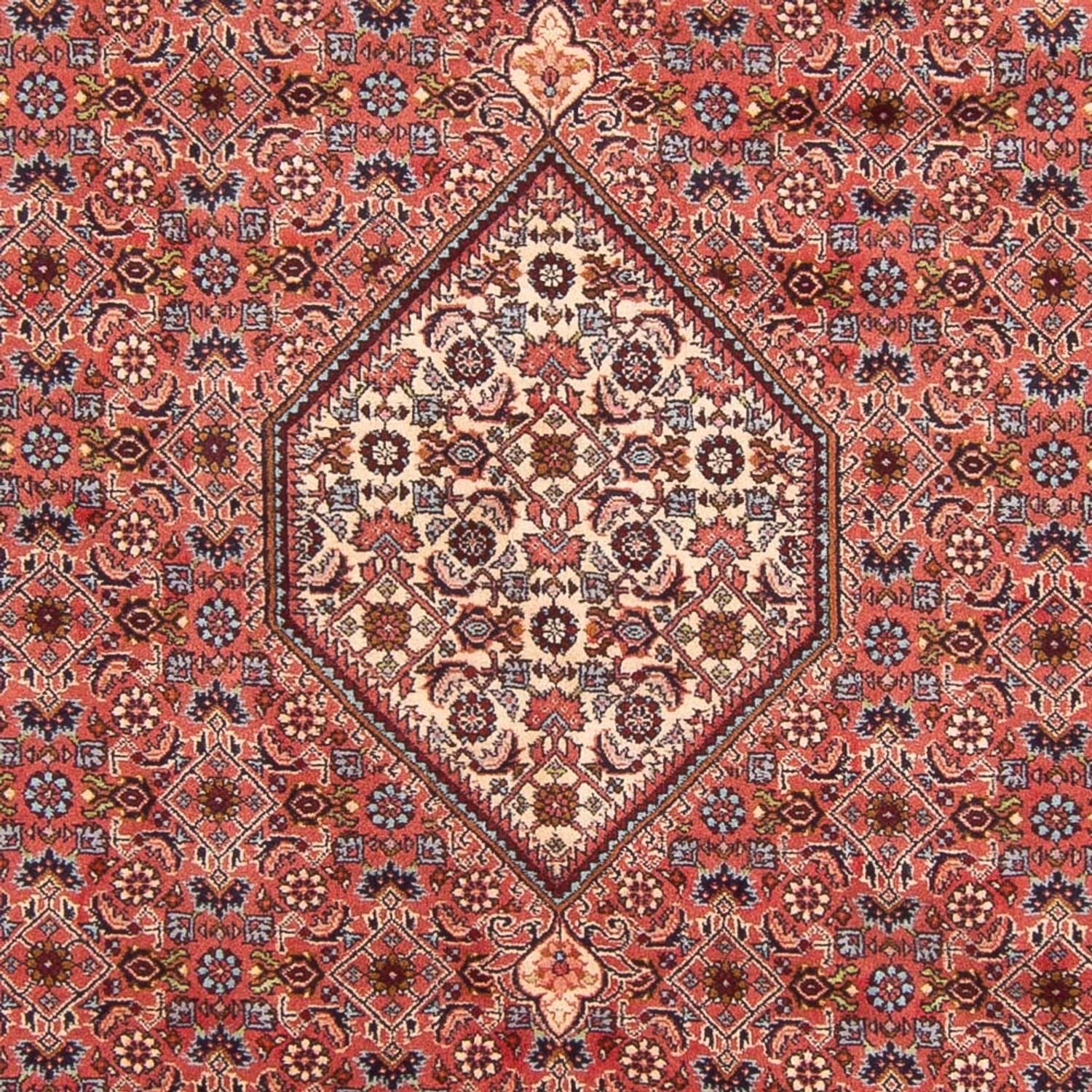 Tapis persan - Bidjar - 290 x 204 cm - rouge