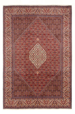 Tapis persan - Bidjar - 303 x 200 cm - rouge