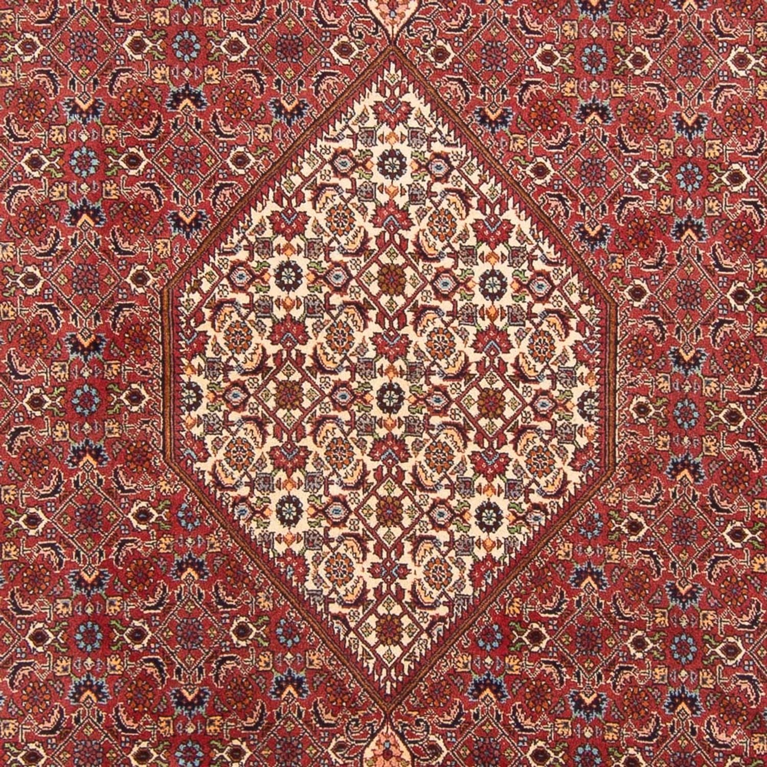 Tapis persan - Bidjar - 303 x 200 cm - rouge