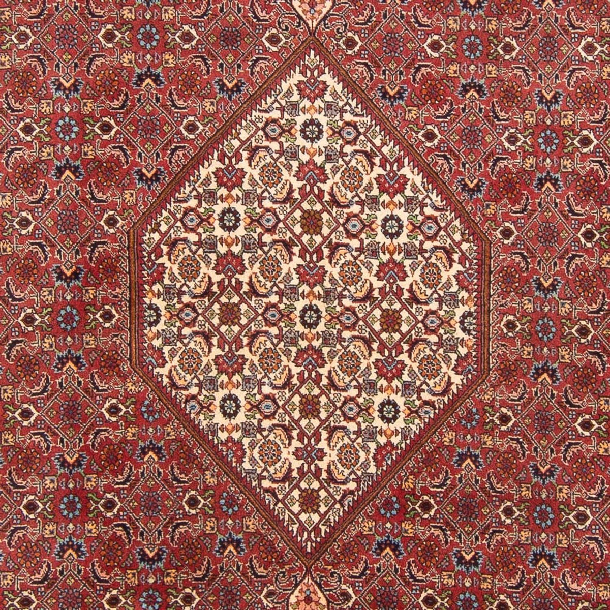 Tapis persan - Bidjar - 303 x 200 cm - rouge