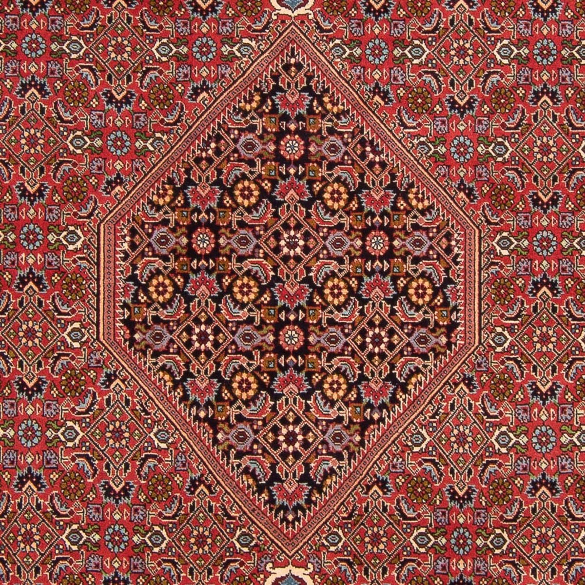 Tapis persan - Bidjar - 307 x 200 cm - rouge