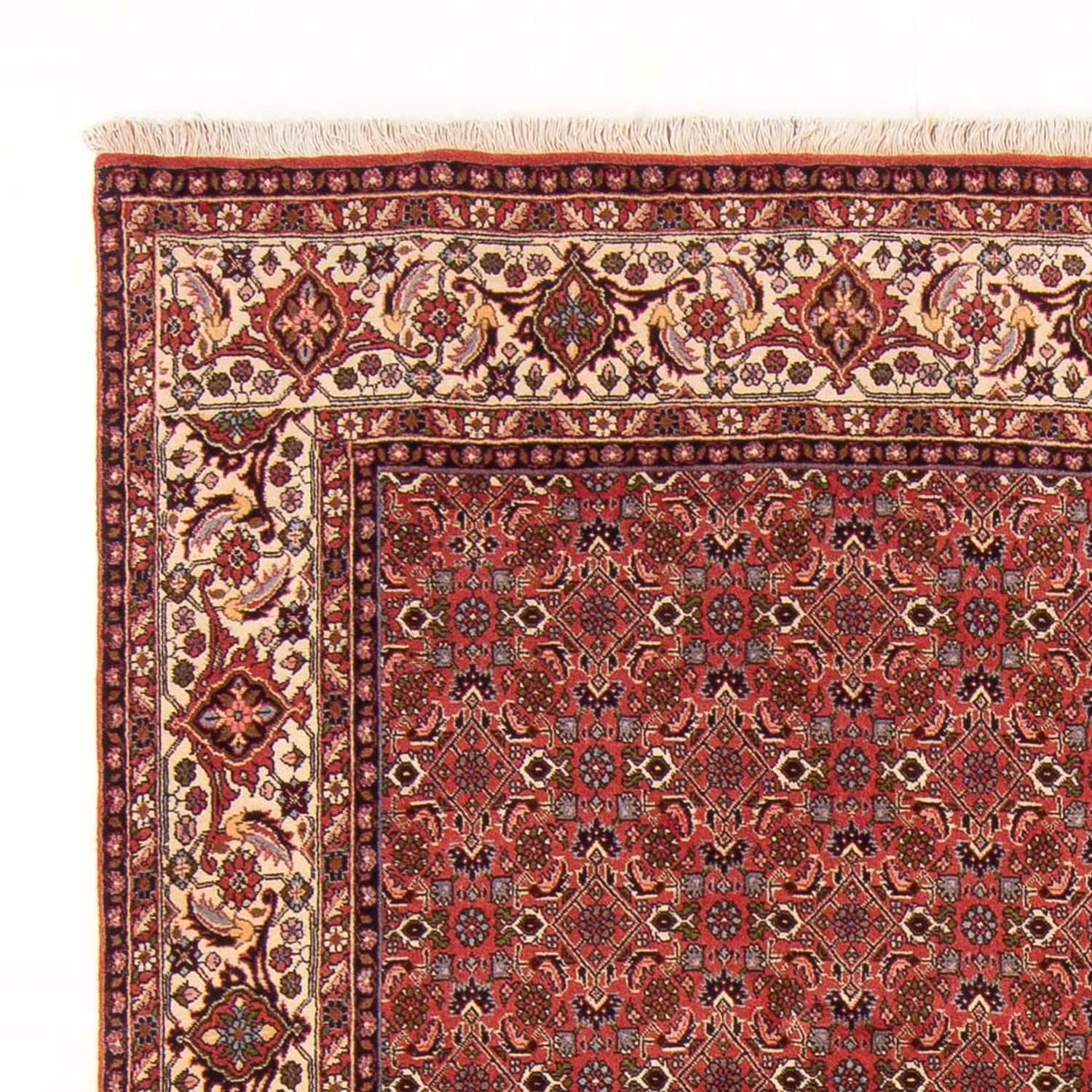 Tapis persan - Bidjar - 289 x 195 cm - rouge