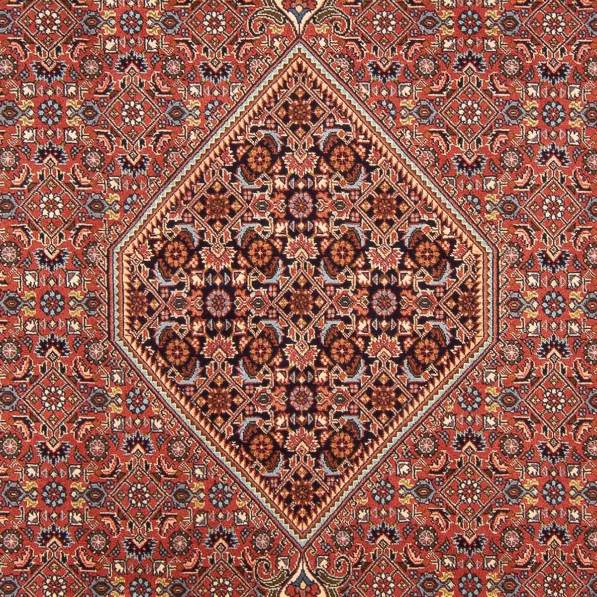 Tapis persan - Bidjar - 296 x 197 cm - rouge