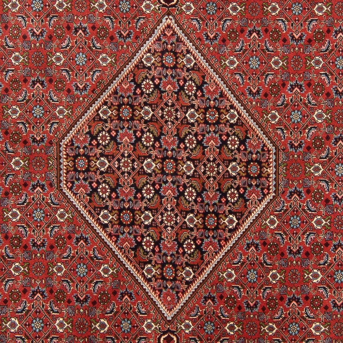 Tapis persan - Bidjar - 310 x 200 cm - rouge