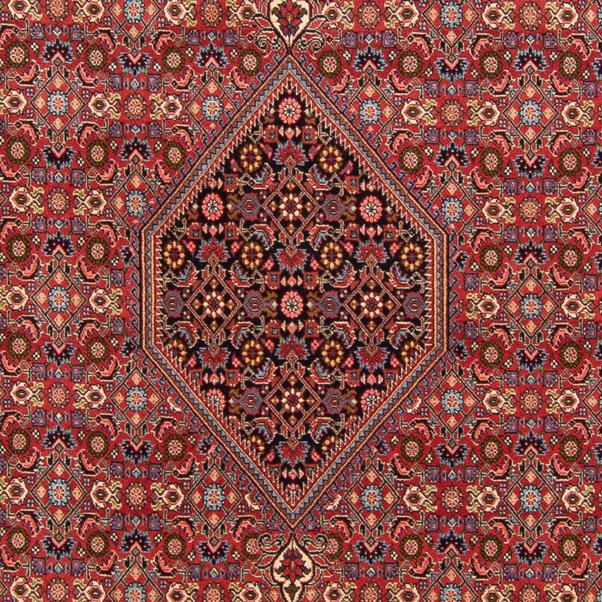 Tapis persan - Bidjar - 302 x 199 cm - rouge