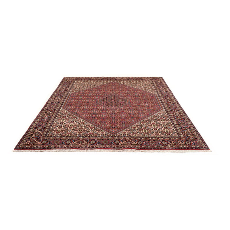 Tapis persan - Bidjar - 302 x 199 cm - rouge