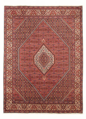 Tapis persan - Bidjar - 290 x 204 cm - rouge