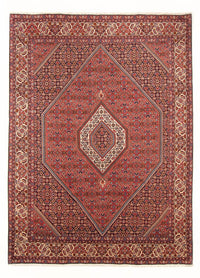 Tapis persan - Bidjar - 290 x 204 cm - rouge