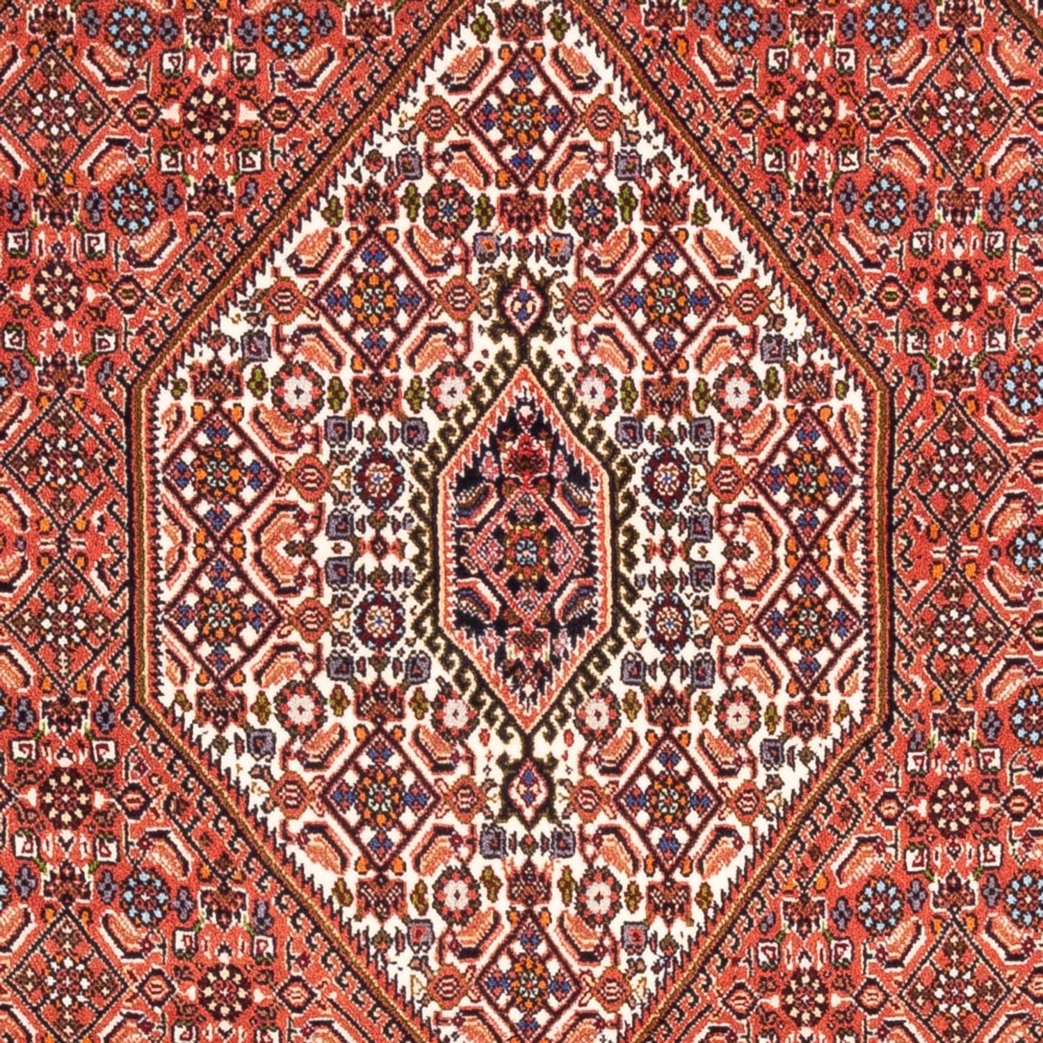 Tapis persan - Bidjar - 187 x 114 cm - rouge