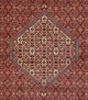 Tapis persan - Bidjar - 340 x 250 cm - rouge foncé