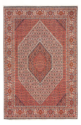 Tapis persan - Bidjar - 303 x 200 cm - rouge
