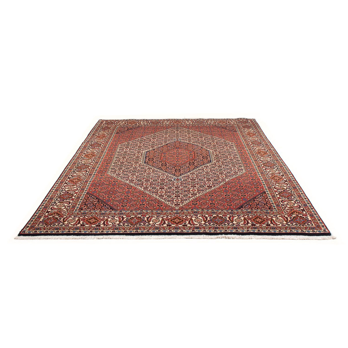 Tapis persan - Bidjar - 303 x 200 cm - rouge