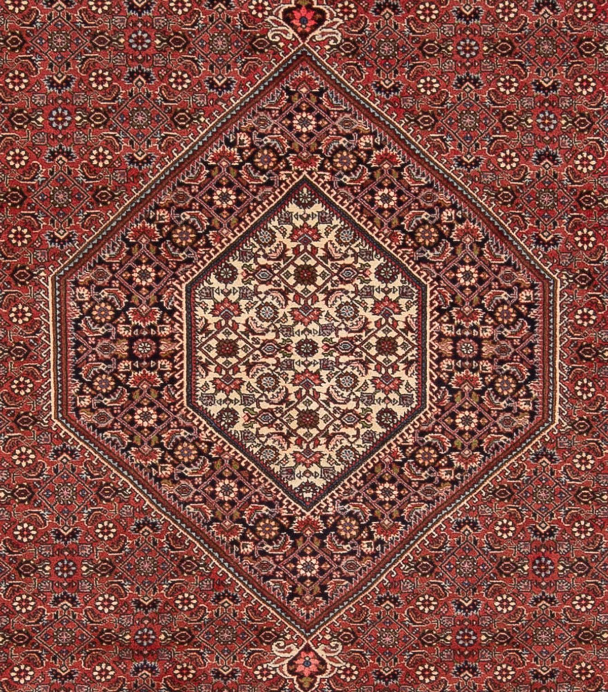 Tapis persan - Bidjar - 348 x 250 cm - rouge foncé