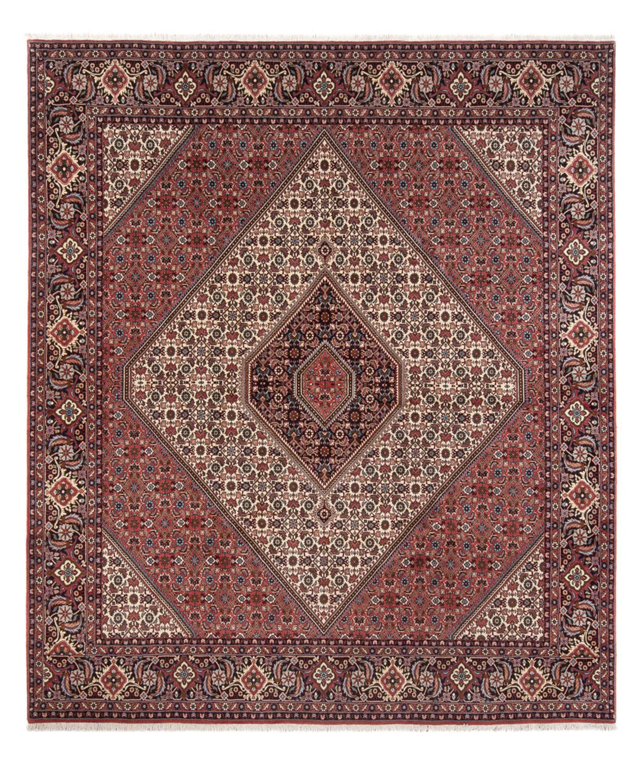 Tapis persan - Bidjar - 296 x 252 cm - crème