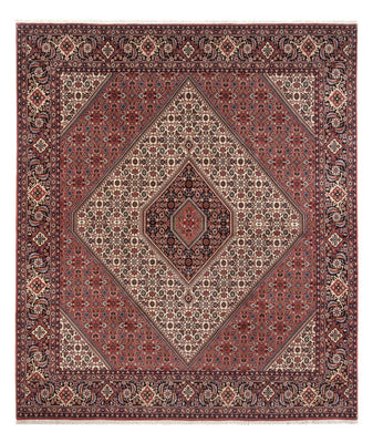 Tapis persan - Bidjar - 296 x 252 cm - crème