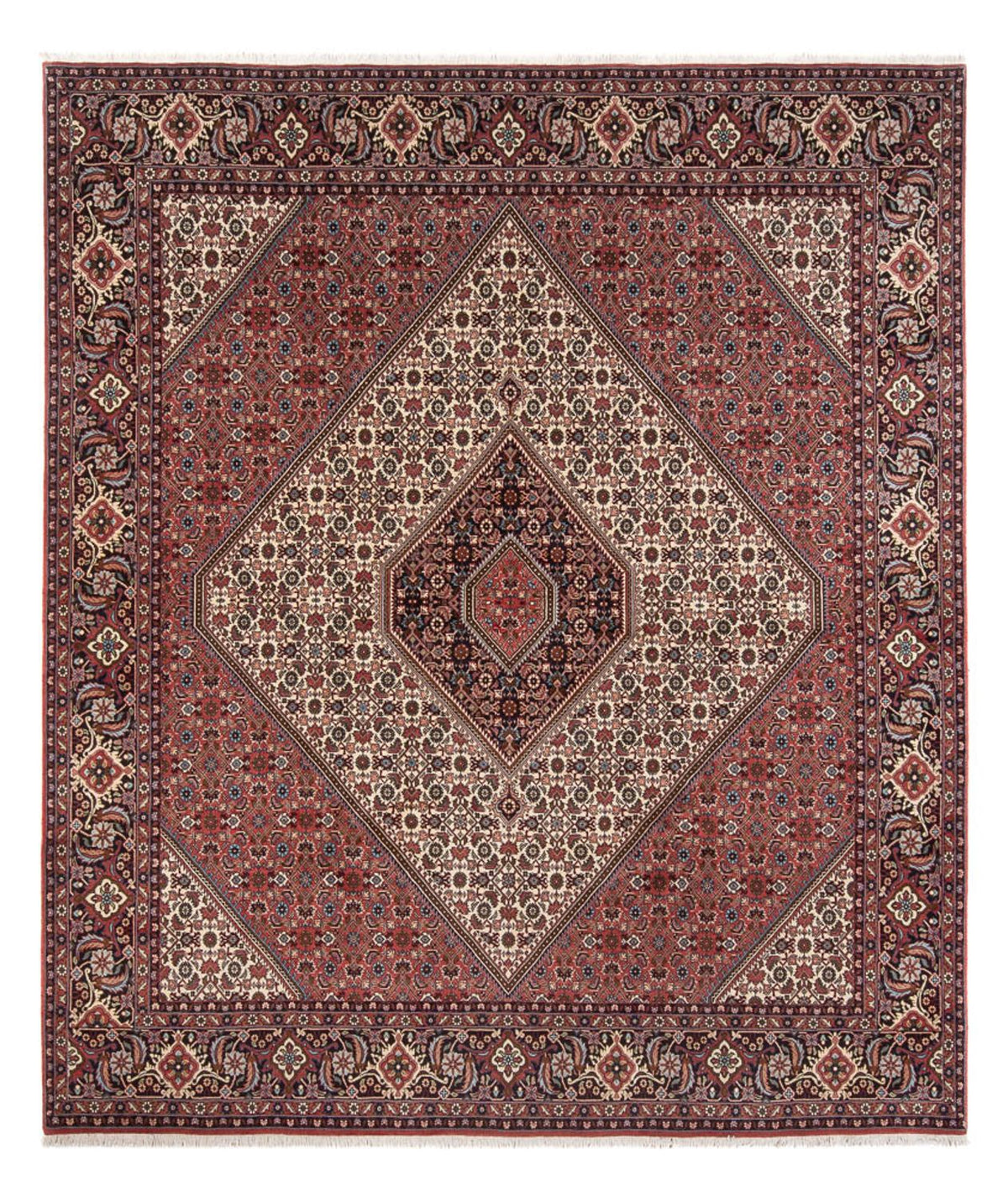 Tapis persan - Bidjar - 296 x 252 cm - crème