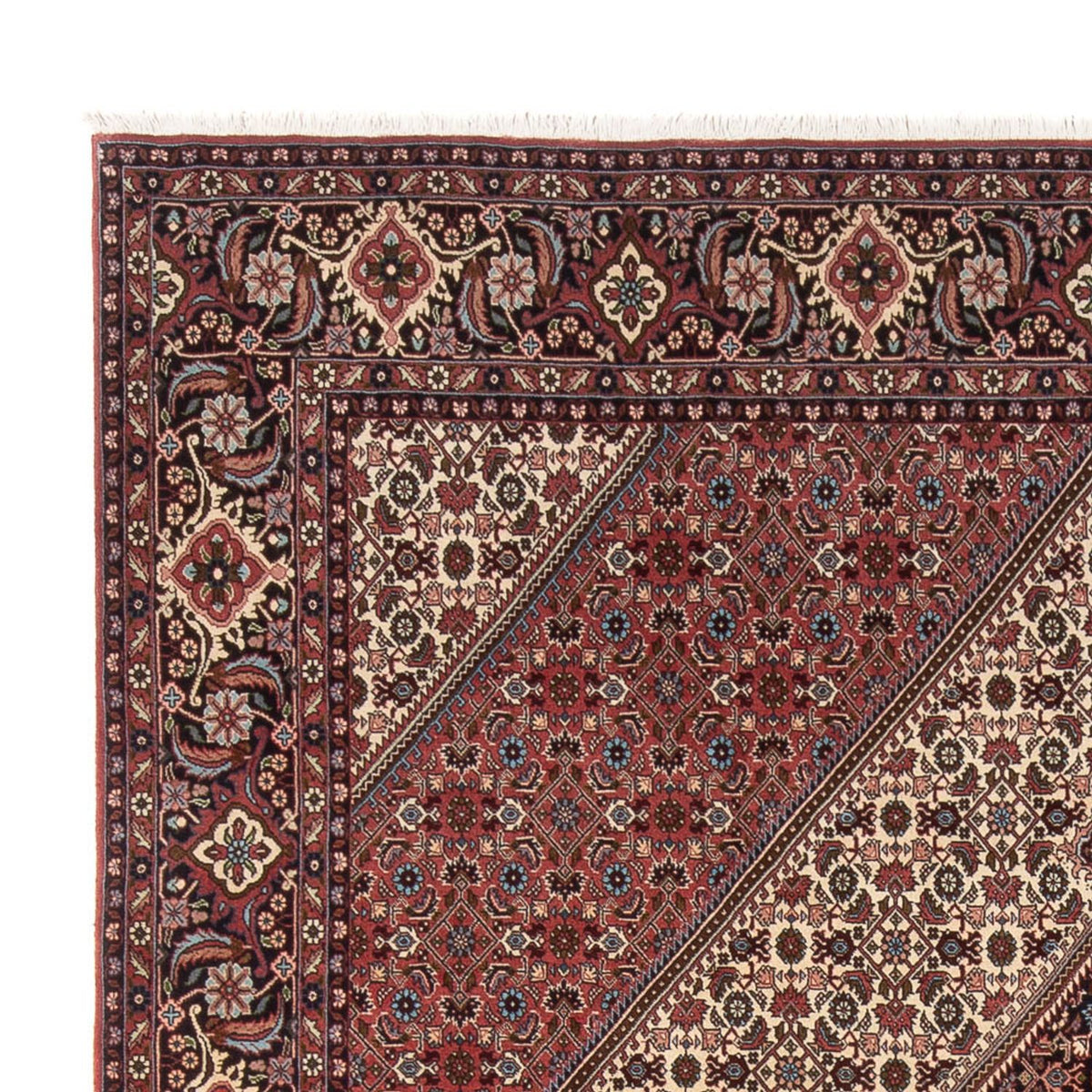 Tapis persan - Bidjar - 296 x 252 cm - crème