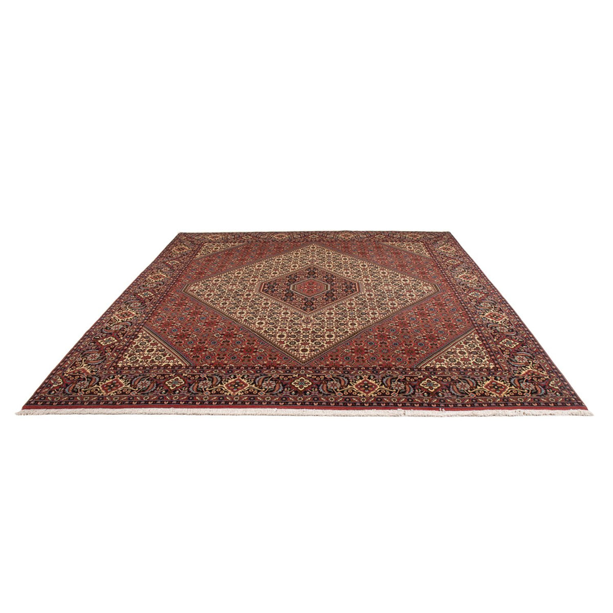 Tapis persan - Bidjar - 296 x 252 cm - crème