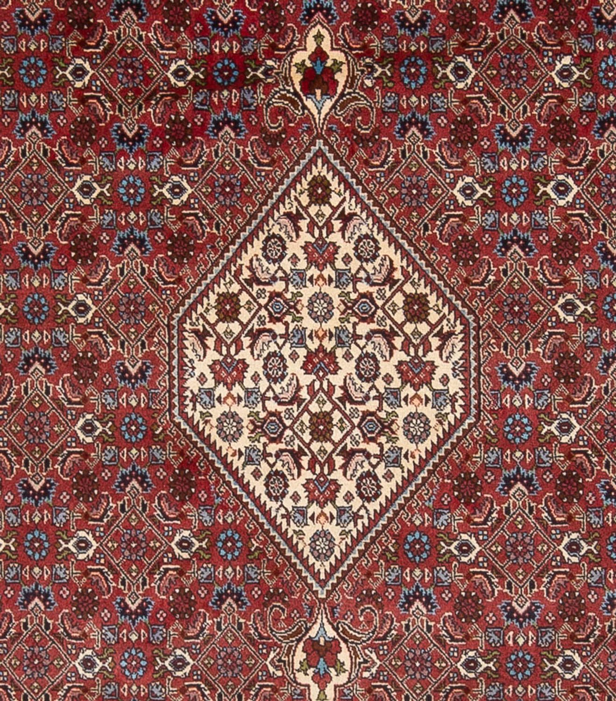 Tapis persan - Bidjar - 294 x 253 cm - rouge foncé