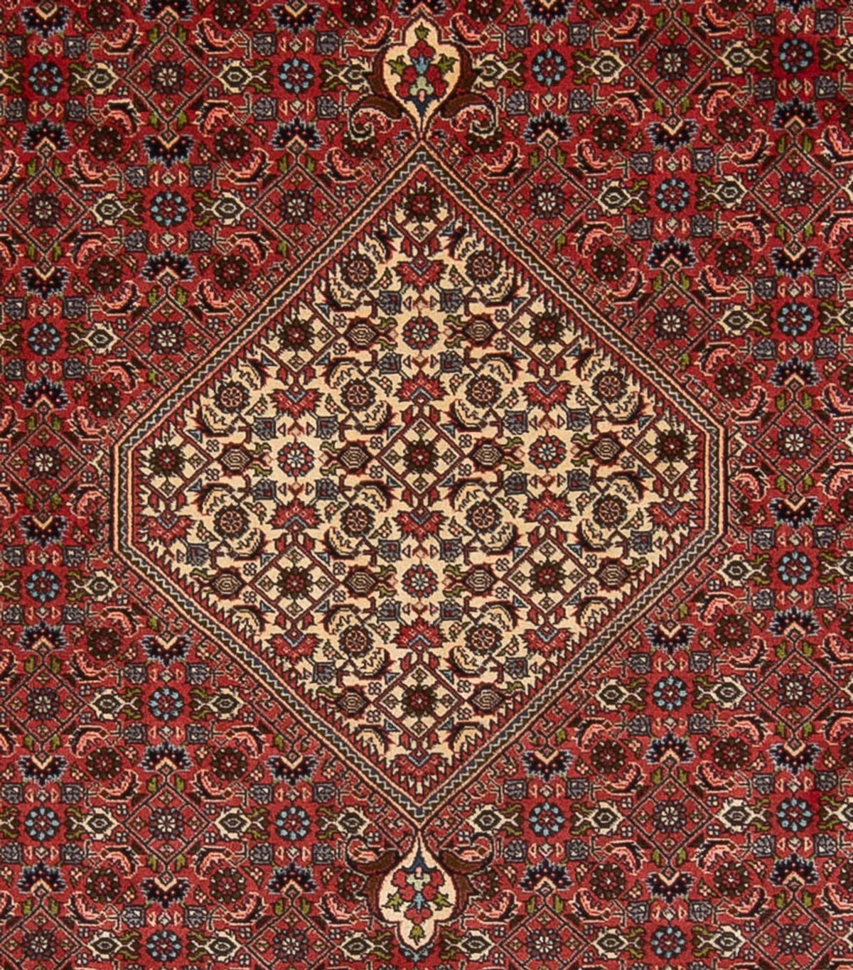 Tapis persan - Bidjar - 314 x 255 cm - rouge foncé