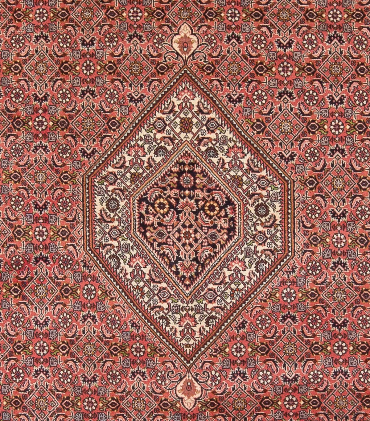 Tapis persan - Bidjar - 342 x 250 cm - rouge foncé