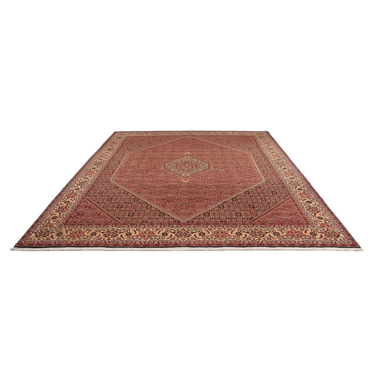 Tapis persan - Bidjar - 342 x 250 cm - rouge foncé