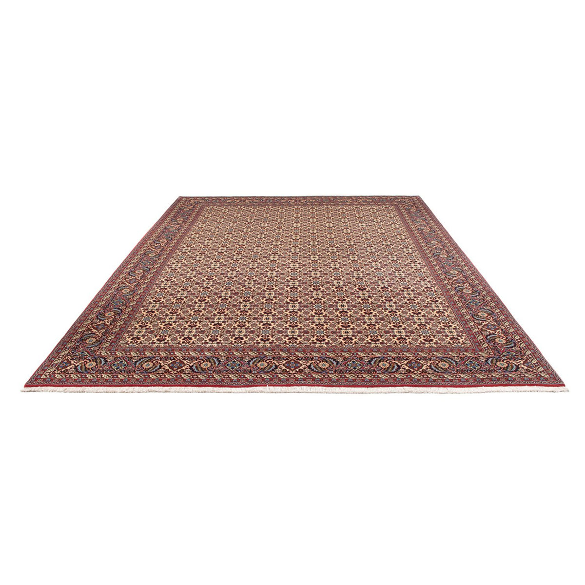 Tapis persan - Bidjar - 344 x 245 cm - crème