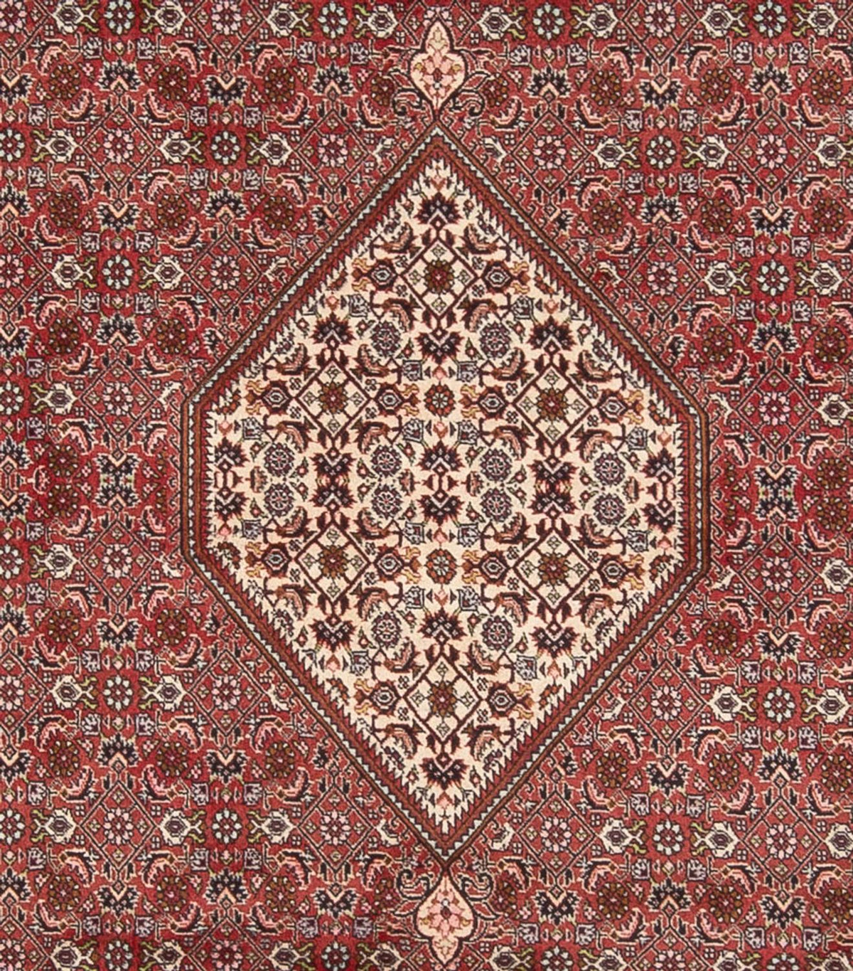 Tapis persan - Bidjar - 343 x 250 cm - rouge foncé