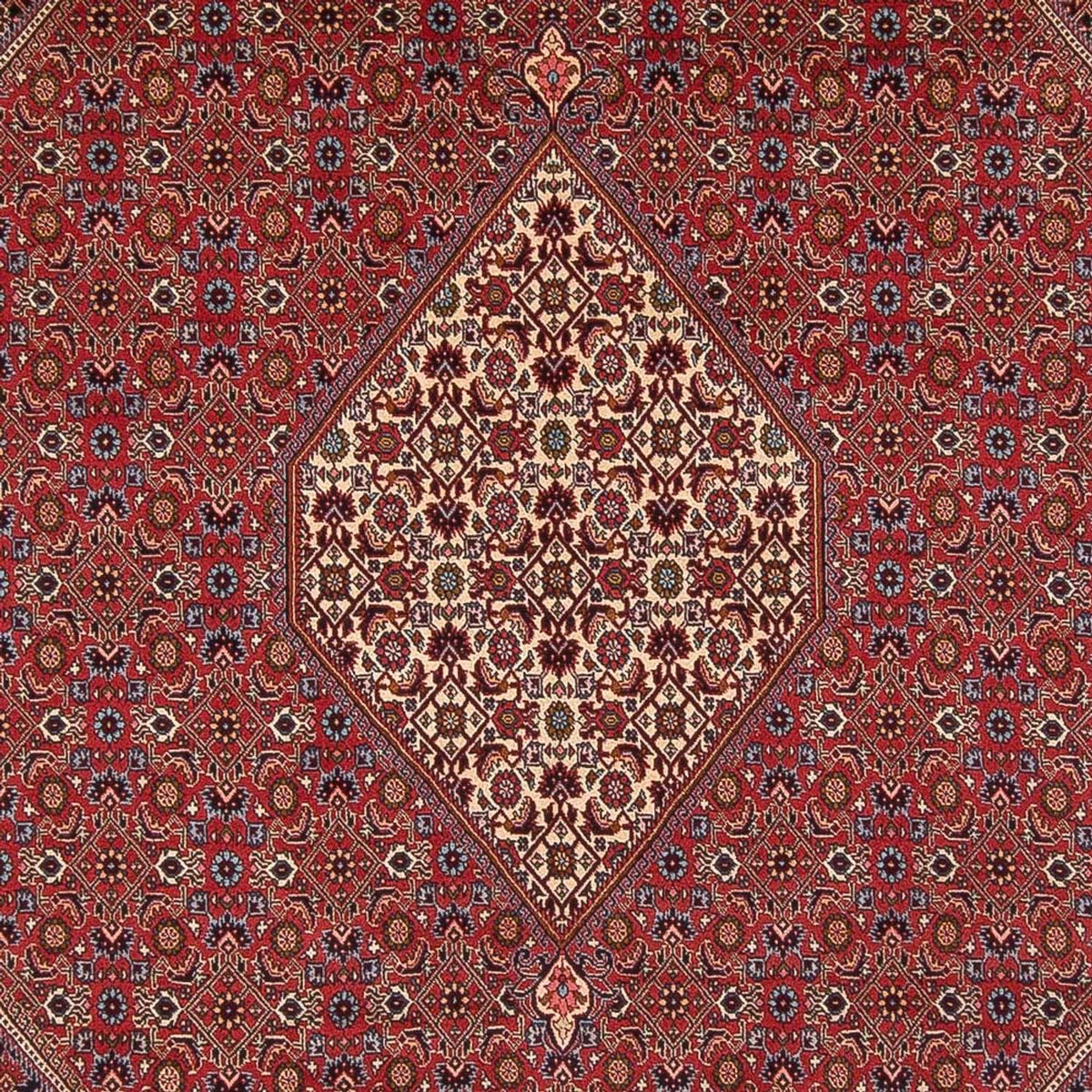 Tapis persan - Bidjar - 342 x 249 cm - rouge