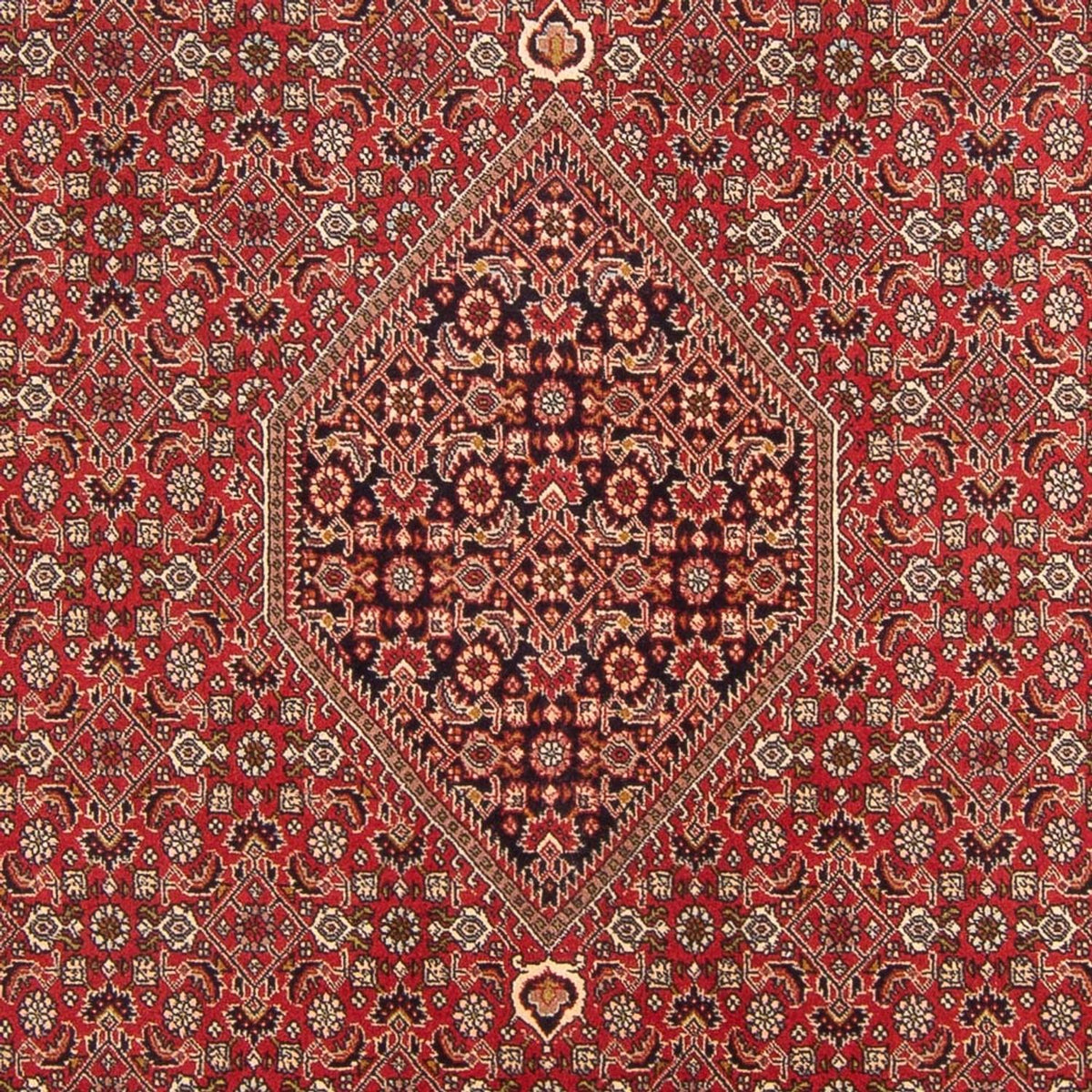 Tapis persan - Bidjar - 298 x 203 cm - rouge