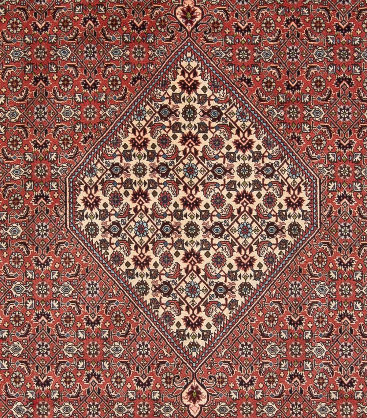 Tapis persan - Bidjar - 334 x 248 cm - rouge clair