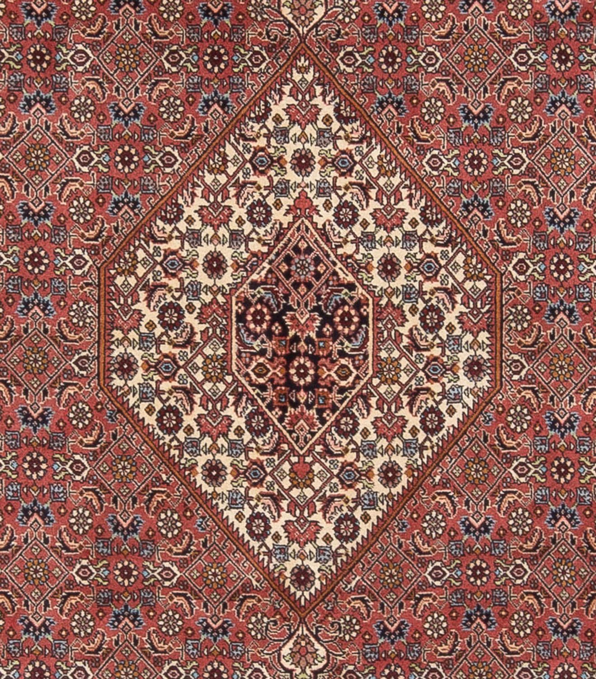 Tapis persan - Bidjar - 299 x 244 cm - rouge foncé